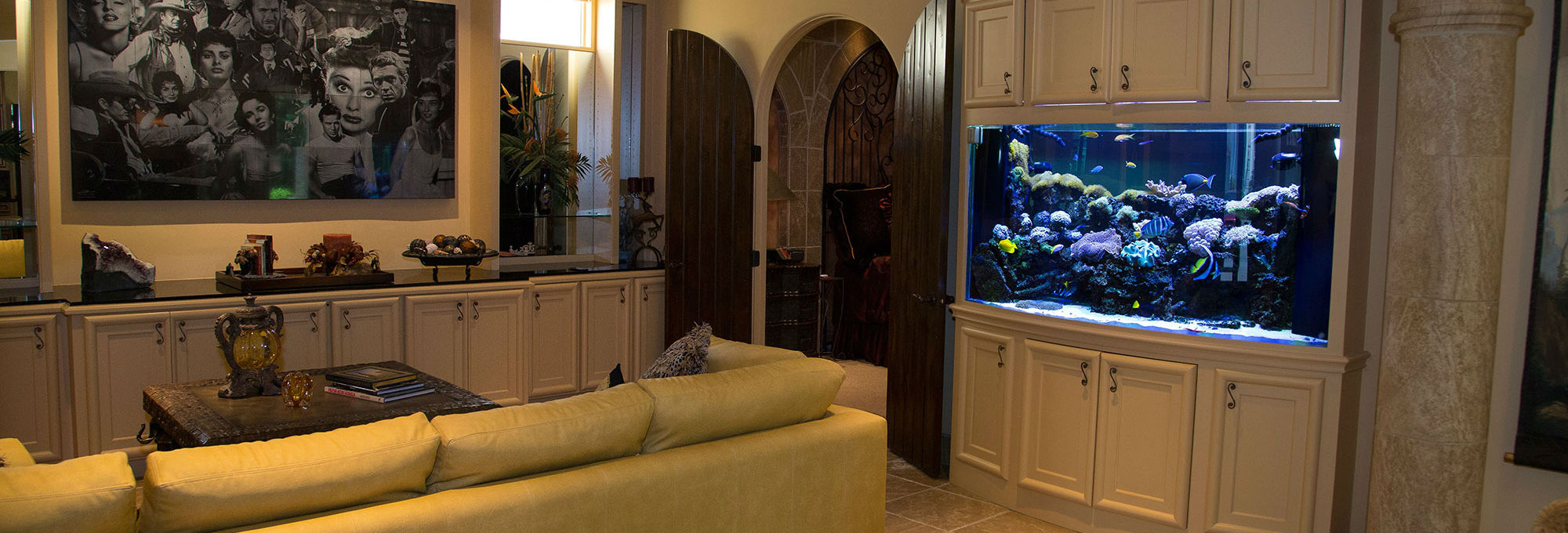 Custom Aquariums Builder & Aquarium Maintenance Aquarium Creations